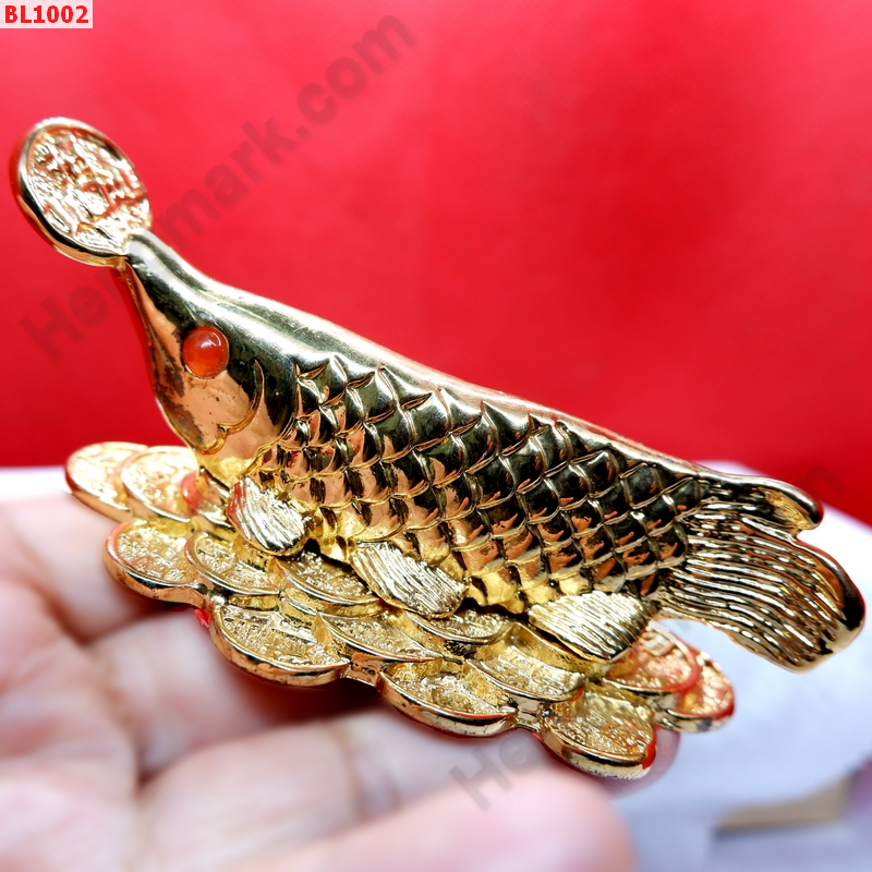 BL1002 ปลามังกรทอง(อโรวานา)ทองเหลืองชุบทอง ราคา 699 บาท http://hengmark.com/view_product/BL1002.htm